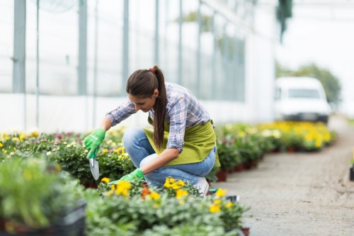Professional garden clearance in Chingford
