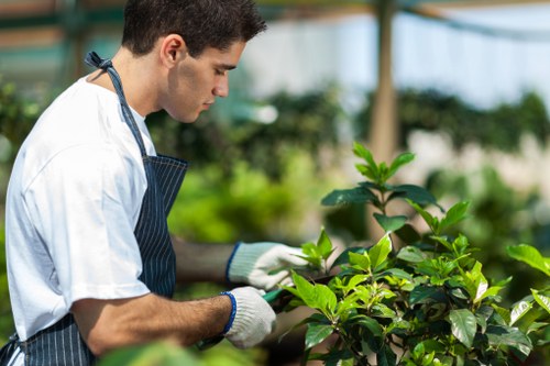 Eco-friendly garden waste removal